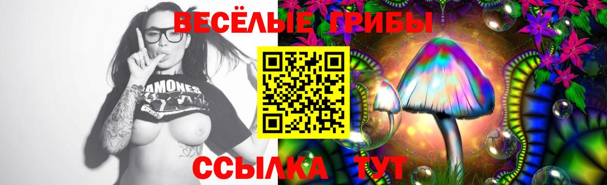 Галлюциногенные грибы прущие грибы Видное